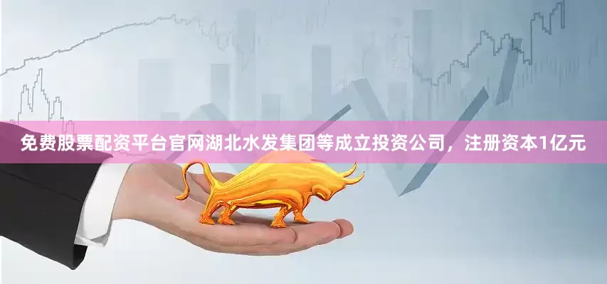 免费股票配资平台官网湖北水发集团等成立投资公司，注册资本1亿元