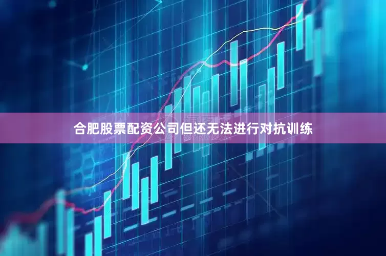 合肥股票配资公司但还无法进行对抗训练
